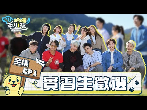 哈囉!毛小孩