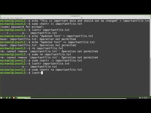 Linux Command Line (29) File Attributes