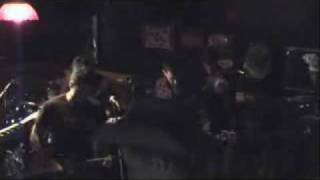 AFC Benny Havens American Girl