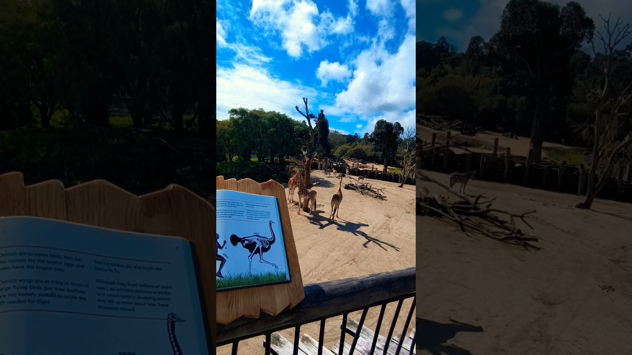 YouTube Short thumbnail