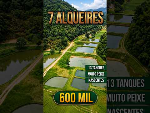 Sítio 7 alqueires 13 tanques de peixes em Sete Barras, SP Apenas R$:600 mil