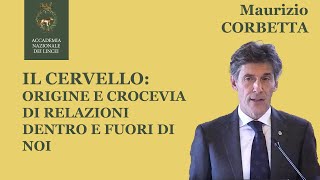 Il cervello: origine e crocevia di relazioni dentro e fuori di noi | Maurizio Corbetta
