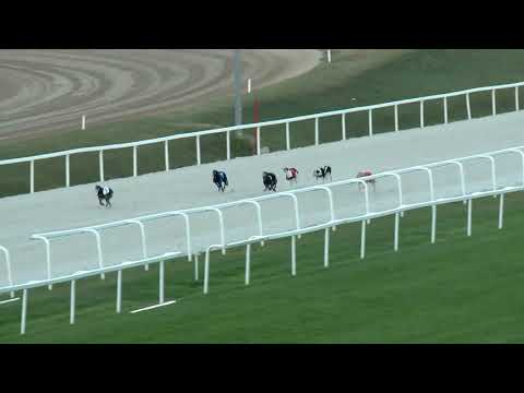 2018.09.28. agár futam