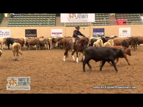 ThisCatsAMasterPiece ridden by Brandon C. Buttars  - 2016 NRCHA Snaffle Bit Futurity (Herd - FINALS)