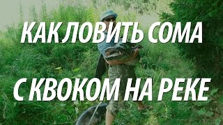 Ловля на средней волге сома