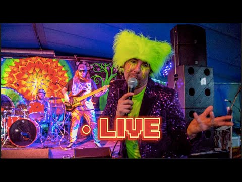  Like a Wolf by TIDAL RAVE [LIVE at Small World 2024]