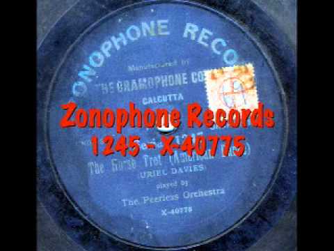 The Peerless Orchestra: The Horse Trot