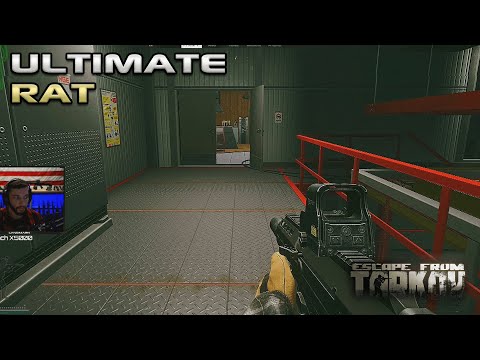 THE ULTIMATE LABS RAT - Escape From Tarkov