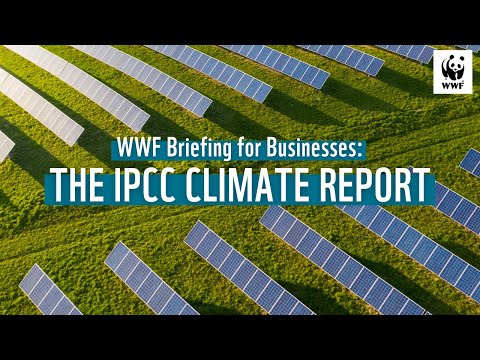 WWF Briefing for Businesses: The IPCC Climate Report