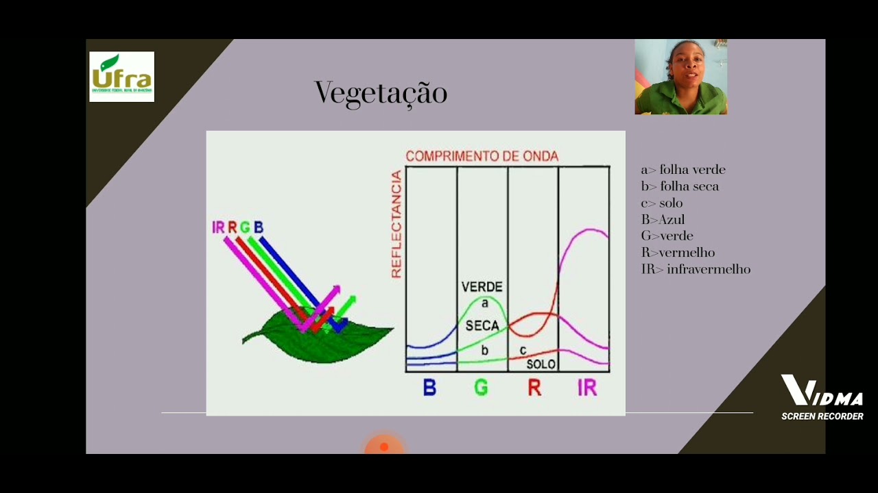 comportamento espectral dos alvos