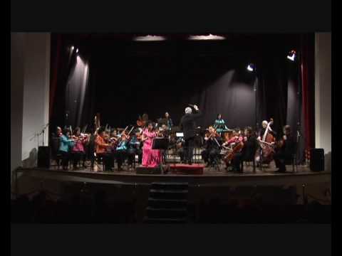 Tan Dun Crouching Tiger Concerto (6) - Hsin Hsiao-hung (erhu) & City Chamber Orchestra of Hong Kong