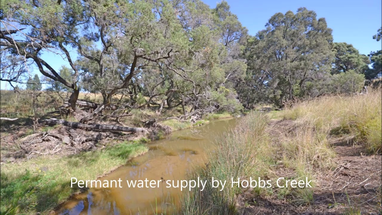 ‘Eden Hope Delungra Bypass Road, Delungra, NSW, 2403 Sold Elders