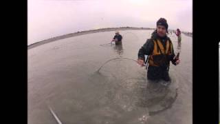 underwater life by freedy johnston