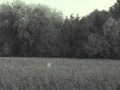 Interesting Night Video October 13 2010 Seen Today