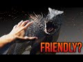 How This Could Change Jurassic World Forever