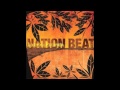 Coroa Imperial - by Nation Beat