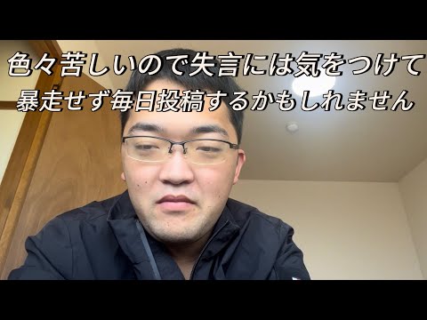 色々苦しいので失言には気をつけて暴走せず、毎日投稿するかもしれません。（概要欄もチェック）