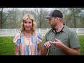 Horse Ranch Dream