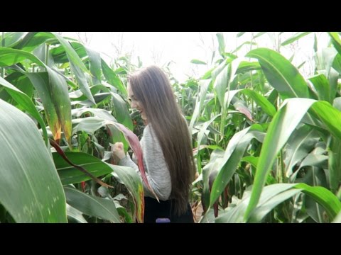 download lagu mp3 mp4 Pick Your Own Fruit Farm, download lagu Pick Your Own Fruit Farm gratis, unduh video klip Pick Your Own Fruit Farm