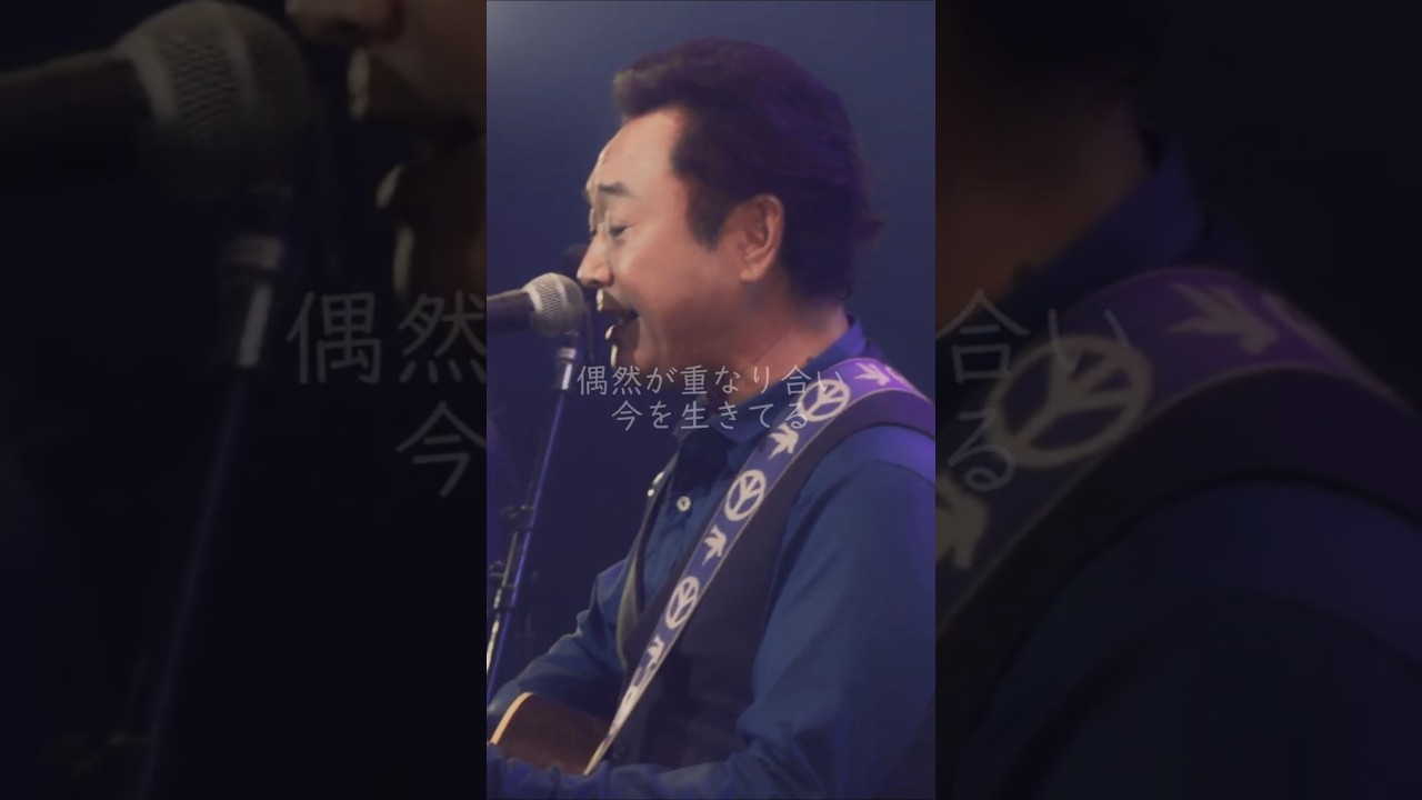 【#杉山清貴】too good to be true - LIVE Blu-ray「Sugiyama Kiyotaka Concert Tour 2024 「古いシネマを観るように」 #shorts