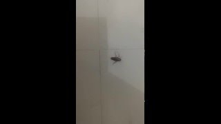 Kejadian disore hari