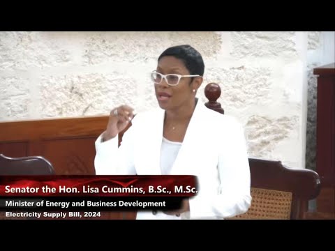 Wide consultation on development of Electricity Supply Bill