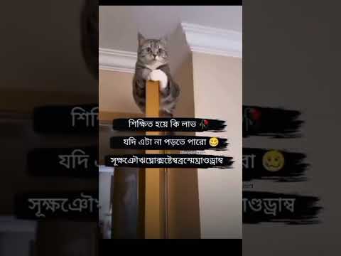 🙂#youtubeshorts #viralvideo #funny #like