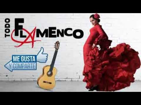 Duke Reyes X Seco Reyes X Reyes Garcia X Gipsy Nigga40