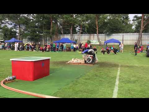 12.8. 2017 Pohárová súťaž Petrová Ves(DHZ Prievaly (A) druhý pokus) ND