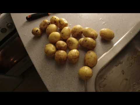 MongoTV_7348 - Mongo Madskole - MEDISTERPØLSE Med KARTOFLER og BEARNAISESOVS