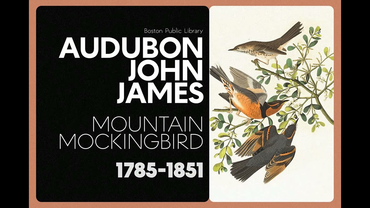 Made Infinity Font Download