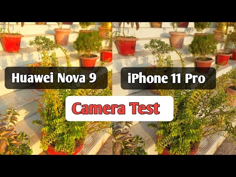 Huawei Nova 9 Camera test vs iPhone 11 pro camera