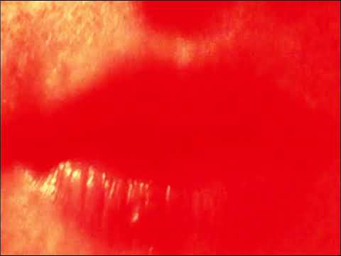 Midding - 'Synth Love' (Official Video)