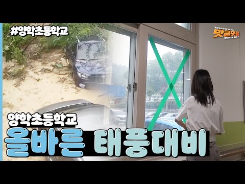 [맛쿨멋쿨TV]올바른 태풍 대비 방법 / 양학초등학교