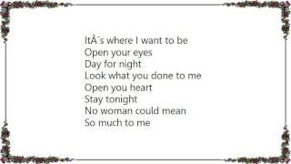 Bryan Ferry - Day for Night Lyrics