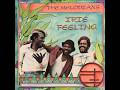 The Melodians - Irie Feeling & Leigh Dread's Dub Version