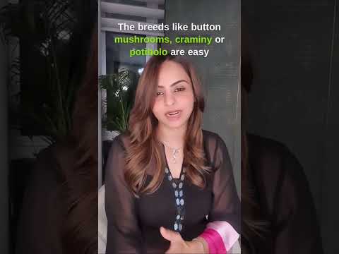 Nutritionist advice for mushroom for kids 🍄👦