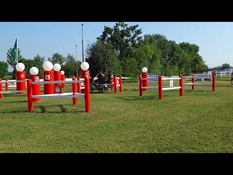 Fahrturnier Ostenfelde 21.8.2022