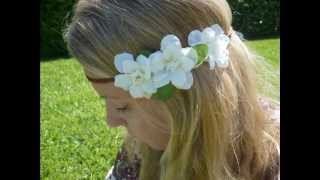 Going to California (Live)