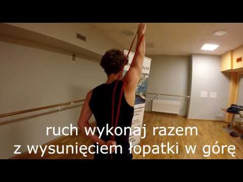 Jakie ćwiczenia wzmacniają mięśnie ud wewnętrzną Ludzkich mięśni języka struktury języka