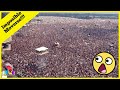 7 Most Monstrous Concerts In History