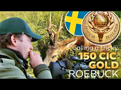 The Hunt for a Lifetime 150 CIC Gold Roebuck