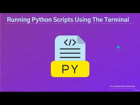1 Why Python Programming Why Now