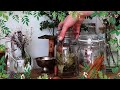 What I Wish I Knew Before I Began Practicing Witchcraft Part 2