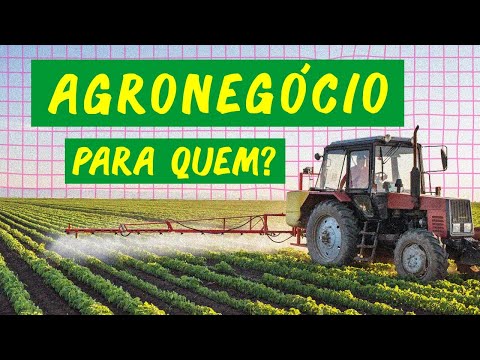 Por que você não come o que o AGRONEGÓCIO produz?