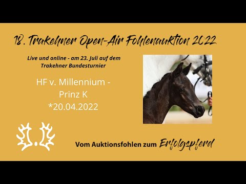 Kat.-Nr.14 HF v. Millennium - Prinz K