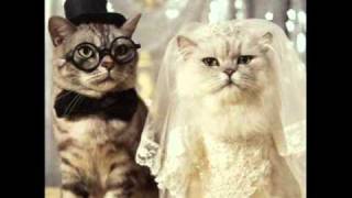 Micifuz y Robustiana (Sevillanas).wmv