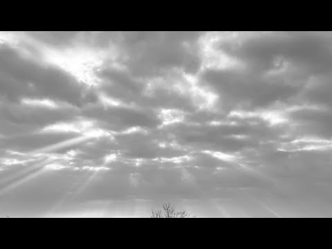 Rise again / Reality Crisis 