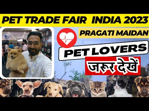 India Pet Trade Fair 2023 | Shop | Stall | Exhibition | #pets #pet #tradefairvlog #cats #dog #birds