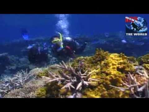 Australia's Great Barrier Reef diving video: Cairns Scubapro Liveaboard, Outer Barrier Reef